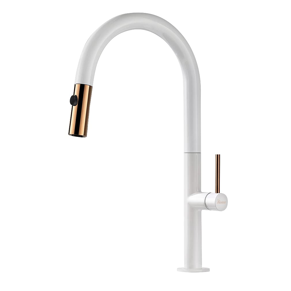 Grifo cocina Blanco Grifo Fregadero con Ducha Extraible JIAHE SANITARY