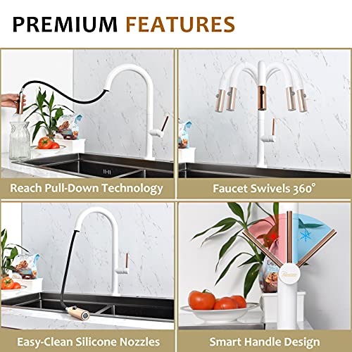 Grifo cocina Blanco Grifo Fregadero con Ducha Extraible JIAHE SANITARY