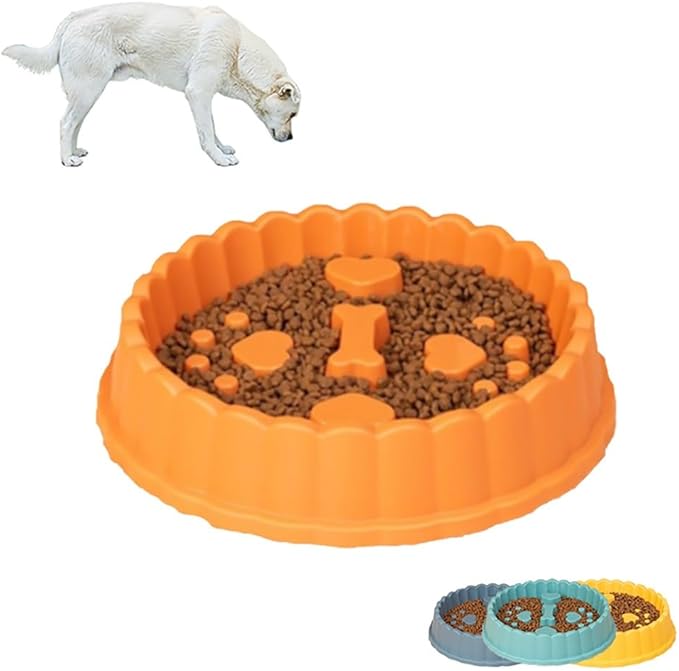 Taça para Cães e Gatos - Vários Modelos - Slow Feeder