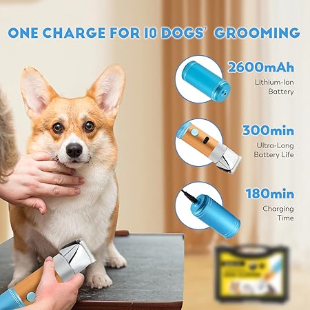 Máquina de Tosquia Profissional para Cães — CGOLDENWALL 400 W